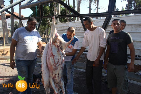 dabe7 ludj31 (6).JPG